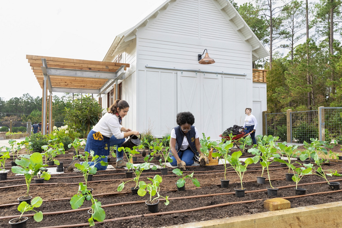 Berkebun: Lebih dari Sekadar Hobi, Peluang Bisnis yang Menjanjikan