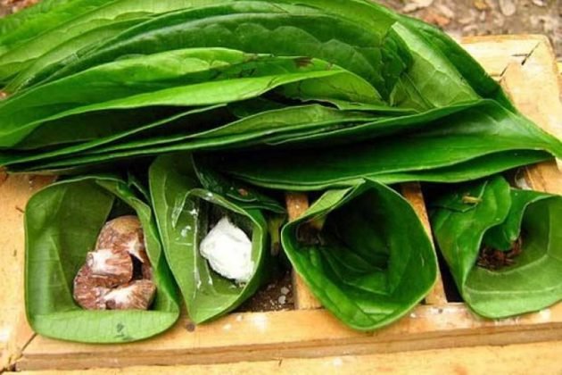Budaya Kuliner Nusantara: Warisan Rasa dan Makna yang Tak Ternilai