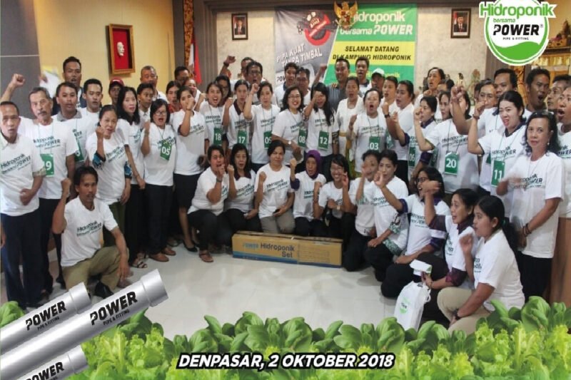 Hidroponik: Revolusi Hijau untuk Lingkungan yang Lebih Sehat