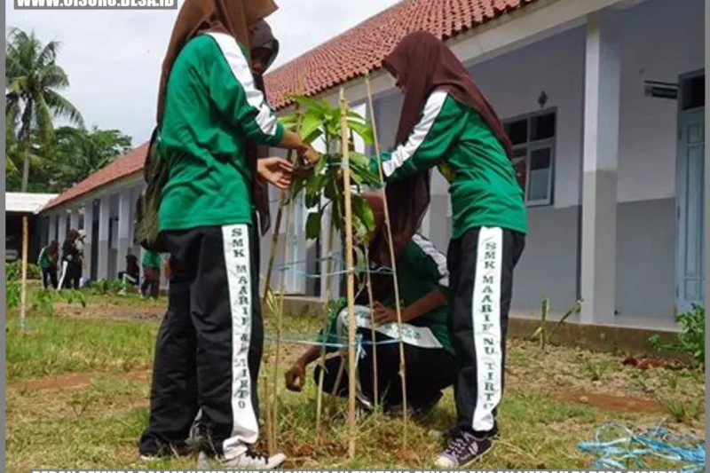 Olahraga dan Lingkungan: Kemitraan yang Kuat untuk Masa Depan Berkelanjutan