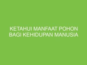 Pohon: Anugerah Alam yang Tak Ternilai bagi Kehidupan Manusia