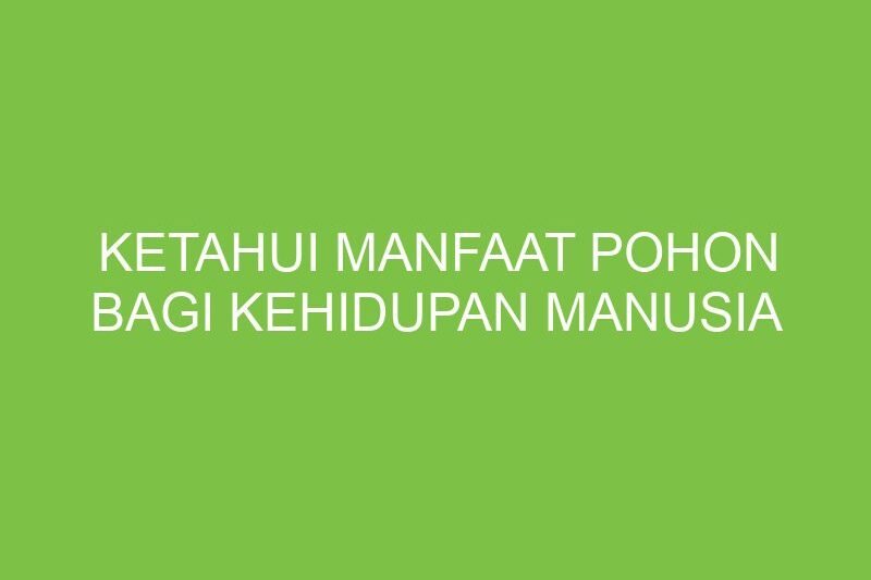 Pohon: Anugerah Alam yang Tak Ternilai bagi Kehidupan Manusia