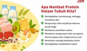 Tentu, mari kita bahas manfaat protein shake untuk otot secara mendalam dan mudah dipahami.