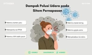 Tentu, mari kita susun artikel informatif tentang dampak polusi pada performa atlet.