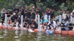 Komunitas Olahraga Ekstrim di Indonesia: Memacu Adrenalin, Menantang Batas, dan Merangkul Persaudaraan