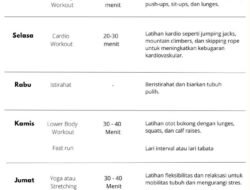 Workout di Rumah Tanpa Alat: Raih Kebugaran Optimal dengan Efisien dan Terjangkau