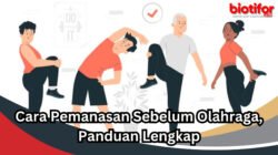 Pemanasan yang Benar: Kunci Performa Optimal dan Pencegahan Cedera Saat Berolahraga