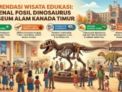 Rekomendasi Wisata Edukasi Mengenal Fosil Dinosaurus Di Museum Alam Kanada Timur